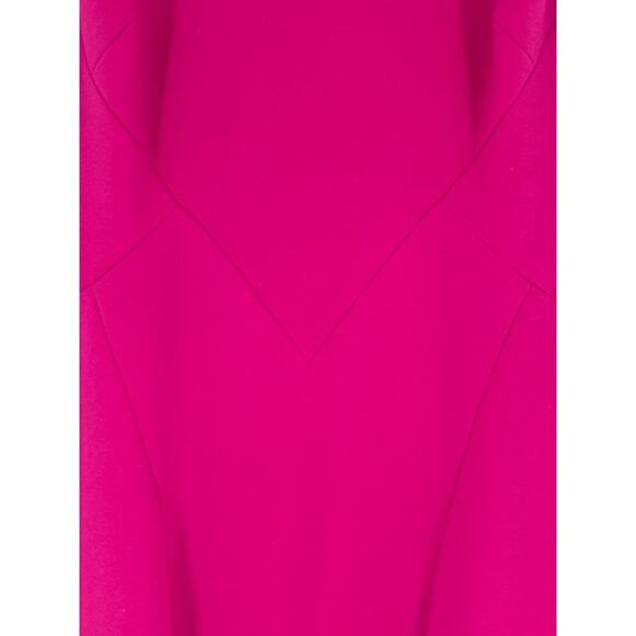 Theia Fuschia Smooth Paneled Sleeveless Mermaid Gown w/ Hidden Back Zip – Size 2 - Picture 3 of 11